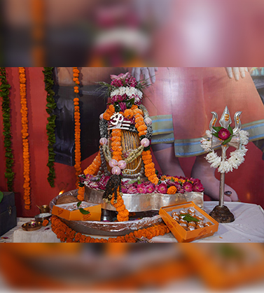 Bharat Mata 101 swami ji birthday anniversary 